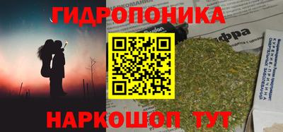 apvp Можга