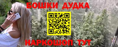 apvp Можга